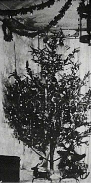 Illustration for article titled Christmas Lights, The Brief and Strangely Interesting History Of